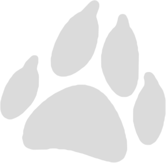 Wildlife On Screen Logo - Paw print icon representing wildlife tracking and nature documentaries
